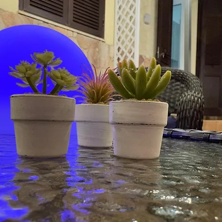 Live Apartmán