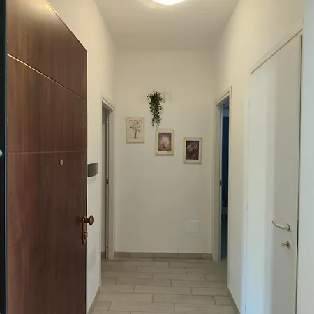 Live דירה